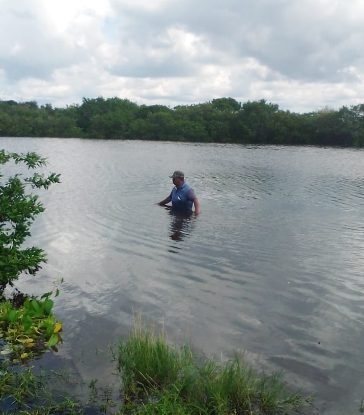 Pierden en Celestún 10 mil toneladas de sal por inundaciones